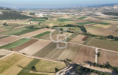 Bursa Yenişehir Çamönü’nde 2743 m² Çift Yola Cephe Yatırımlık Arazi