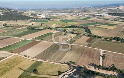 Bursa Yenişehir Çamönü’nde 2743 m² Çift Yola Cephe Yatırımlık Arazi