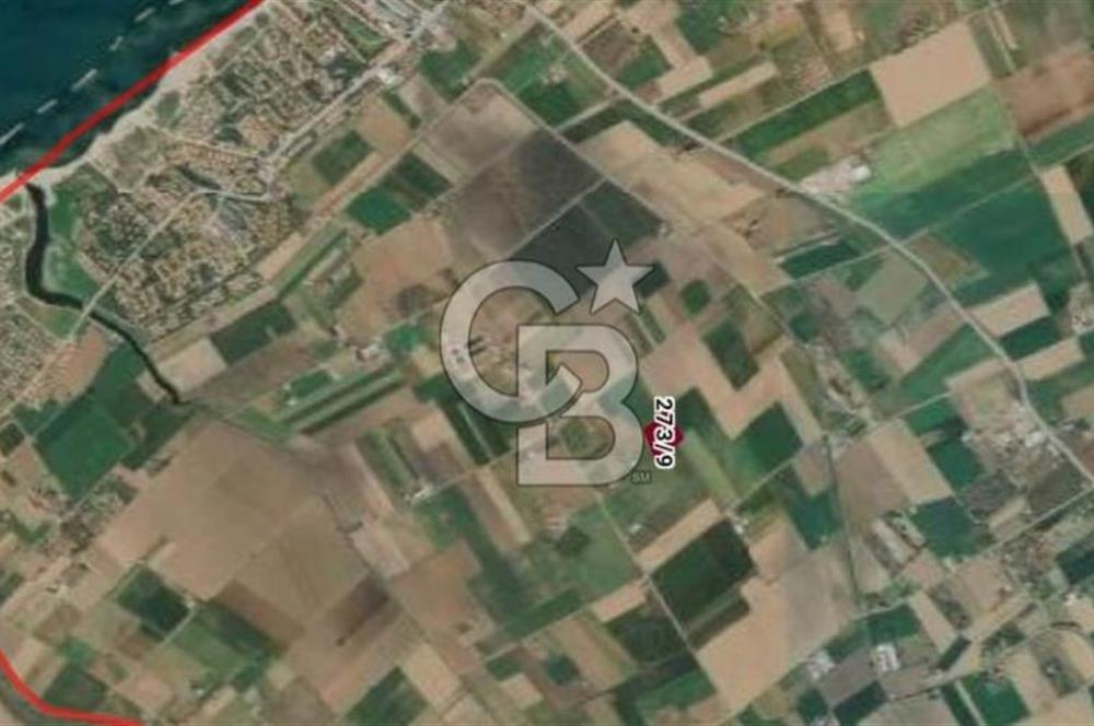 Balıkesir Ayvalık Altınova'da Satılık Tarla