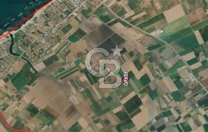 Balıkesir Ayvalık Altınova'da Satılık Tarla