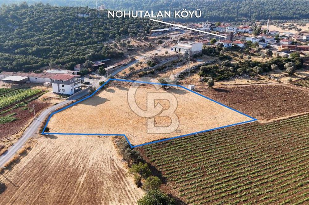 URLA NOHUTALAN'DA KOCAKARI BOĞAZI MEVKİİNDE SATILIK TARLA