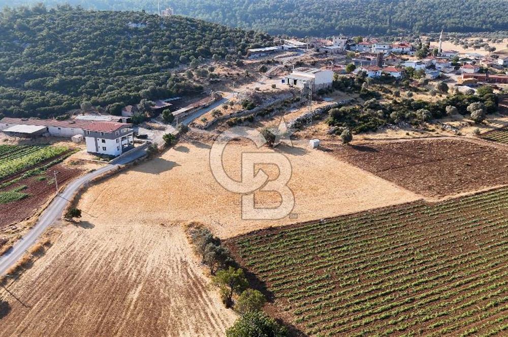 URLA NOHUTALAN'DA KOCAKARI BOĞAZI MEVKİİNDE SATILIK TARLA