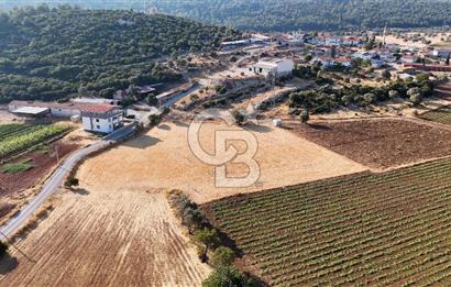 URLA NOHUTALAN'DA KOCAKARI BOĞAZI MEVKİİNDE SATILIK TARLA