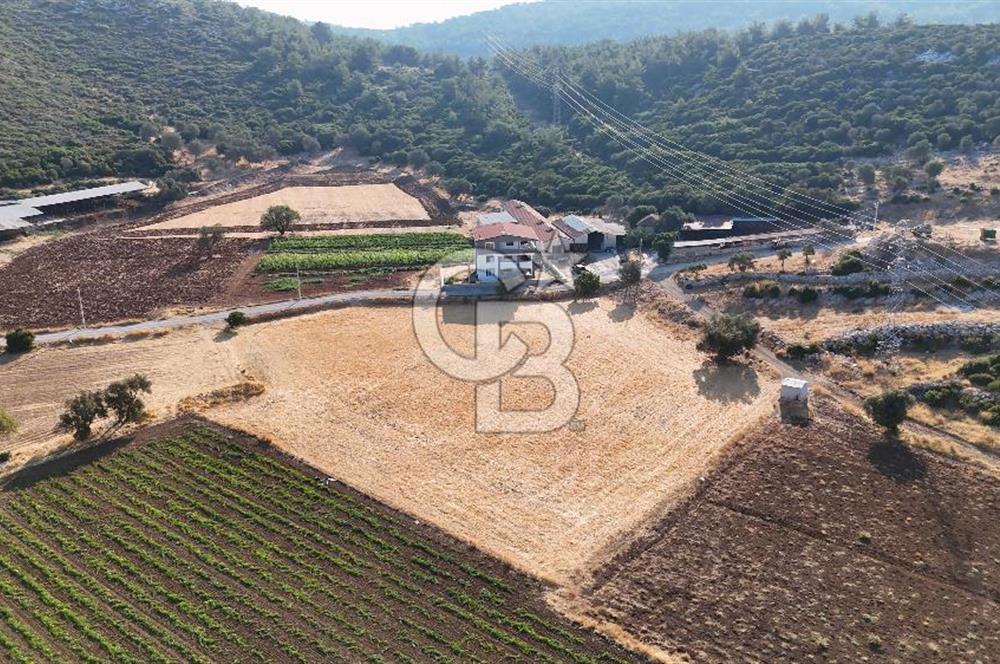 URLA NOHUTALAN'DA KOCAKARI BOĞAZI MEVKİİNDE SATILIK TARLA