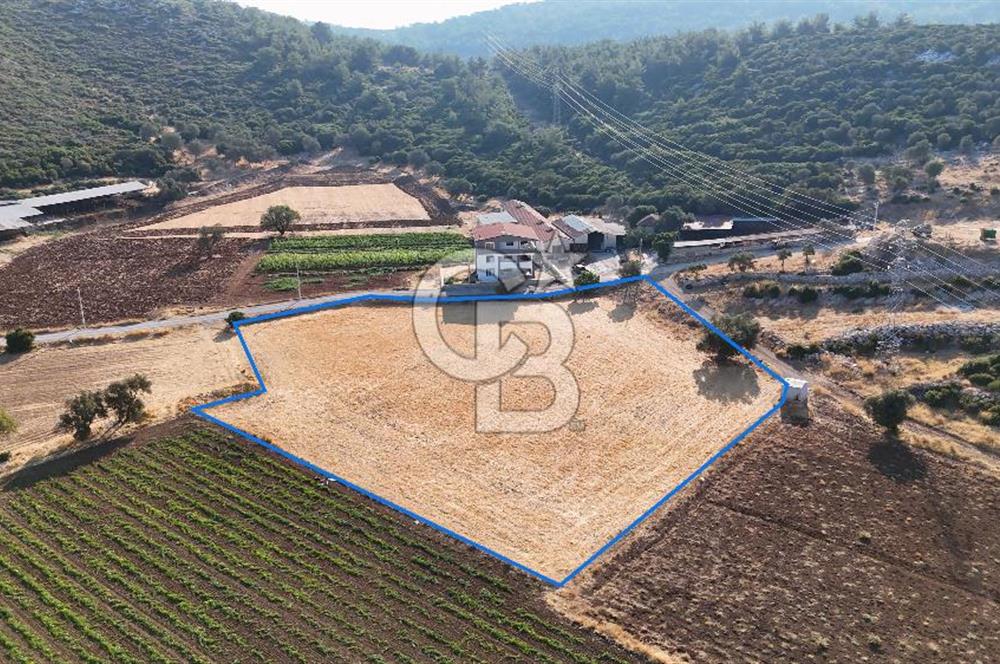 URLA NOHUTALAN'DA KOCAKARI BOĞAZI MEVKİİNDE SATILIK TARLA