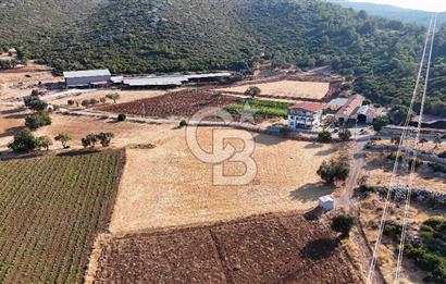 URLA NOHUTALAN'DA KOCAKARI BOĞAZI MEVKİİNDE SATILIK TARLA
