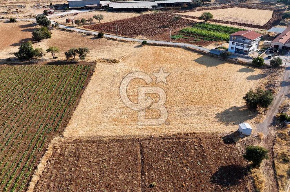 URLA NOHUTALAN'DA KOCAKARI BOĞAZI MEVKİİNDE SATILIK TARLA