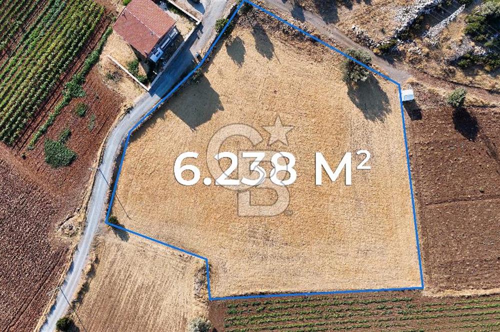 URLA NOHUTALAN'DA KOCAKARI BOĞAZI MEVKİİNDE SATILIK TARLA
