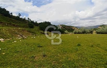TUNCELİ MERKEZ HARÇİK SATILIK ARSALAR