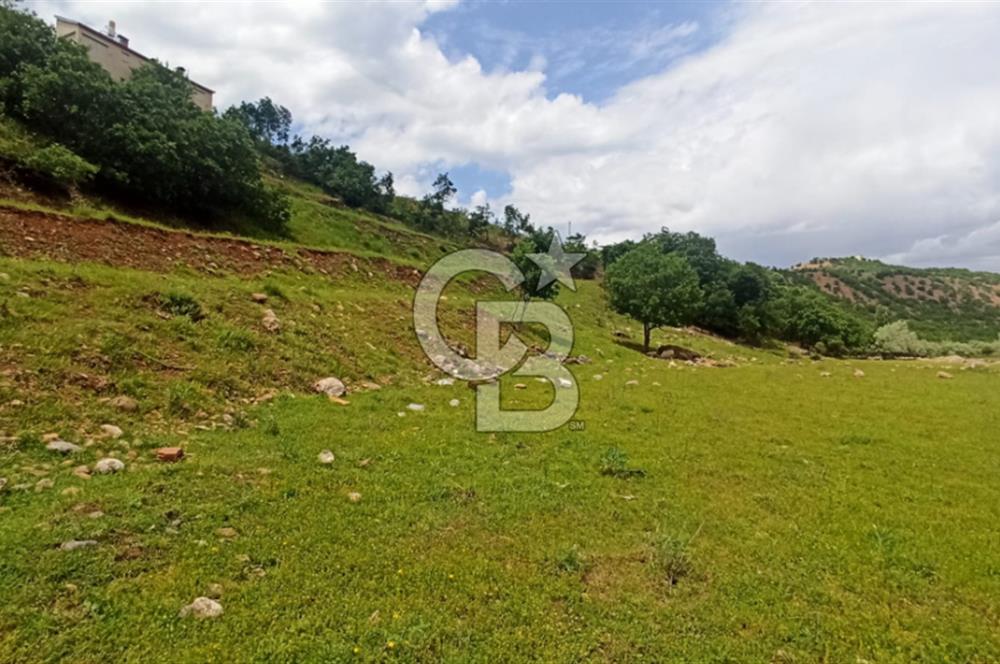 TUNCELİ MERKEZ HARÇİK SATILIK ARSALAR