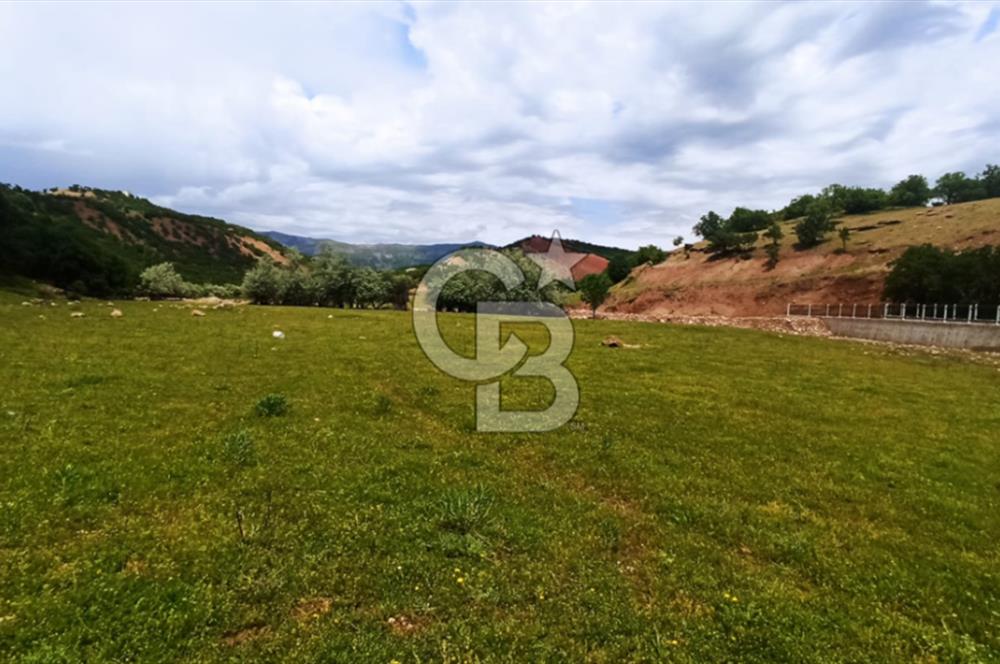 TUNCELİ MERKEZ HARÇİK SATILIK ARSALAR