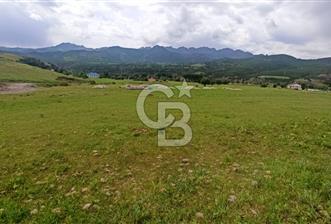 TUNCELİ MERKEZ HARÇİK SATILIK ARSALAR