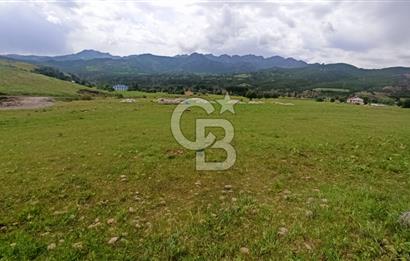 TUNCELİ MERKEZ HARÇİK SATILIK ARSALAR