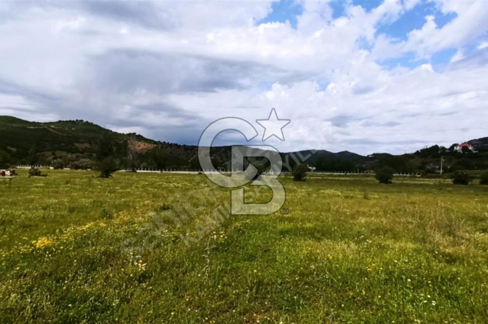 Tunceli Harçik Satılık Arsa