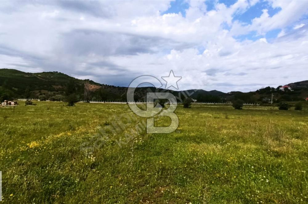 TUNCELİ MERKEZ SATILIK ARSALAR