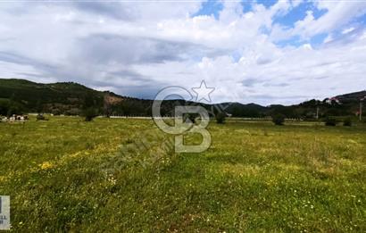 TUNCELİ MERKEZ SATILIK ARSALAR