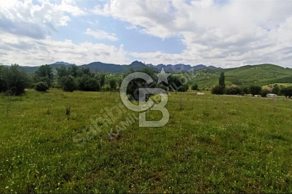 Tunceli Harçik Satılık Arsa