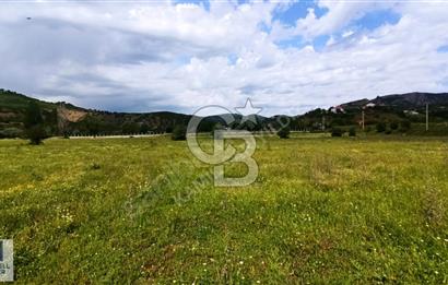 Tunceli Harçik Satılık Arsa