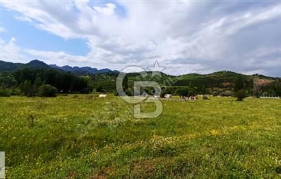 TUNCELİ MERKEZ ISMET İNÖNÜ MAHALLESİ ARSA