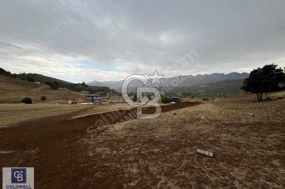 Tunceli Merkez İsmet İnönü mahallesi Arsalar