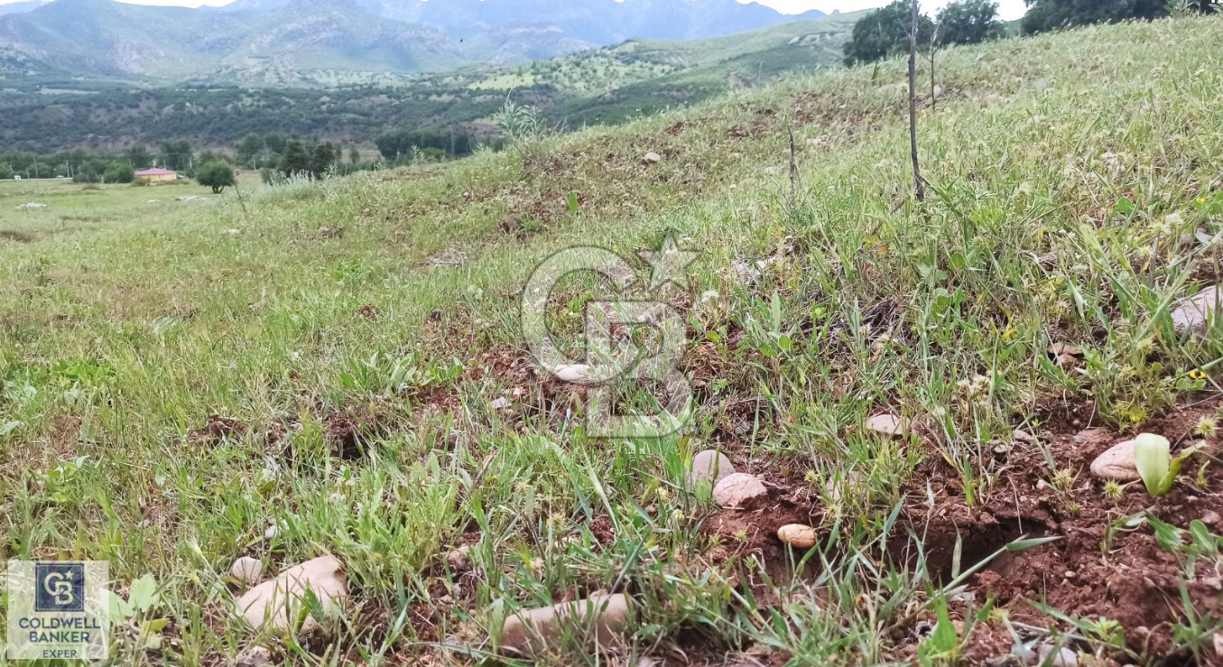 TUNCELİ MERKEZ İSMET İNÖNÜ SATILIK ARSA