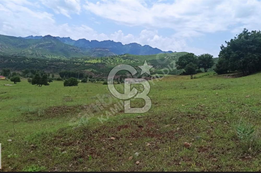 TUNCELİ MERKEZ İSMET İNÖNÜ SATILIK ARSA