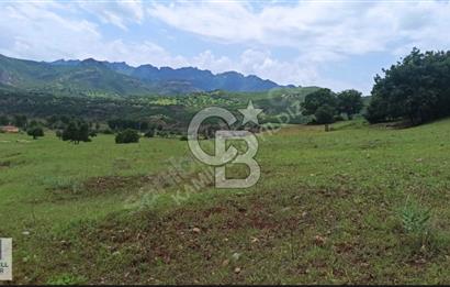 TUNCELİ MERKEZ İSMET İNÖNÜ SATILIK ARSA
