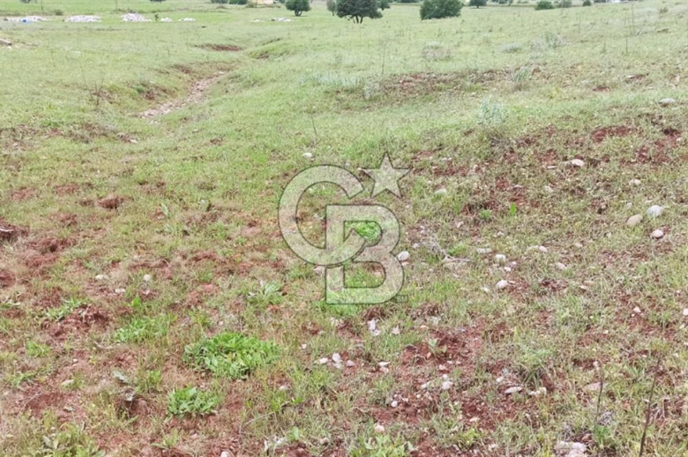 TUNCELİ MERKEZ İSMET İNÖNÜ SATILIK ARSA