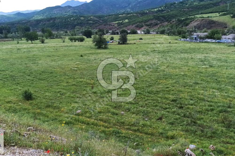 TUNCELİ SATILIK ARSALAR