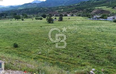 TUNCELİ SATILIK ARSALAR