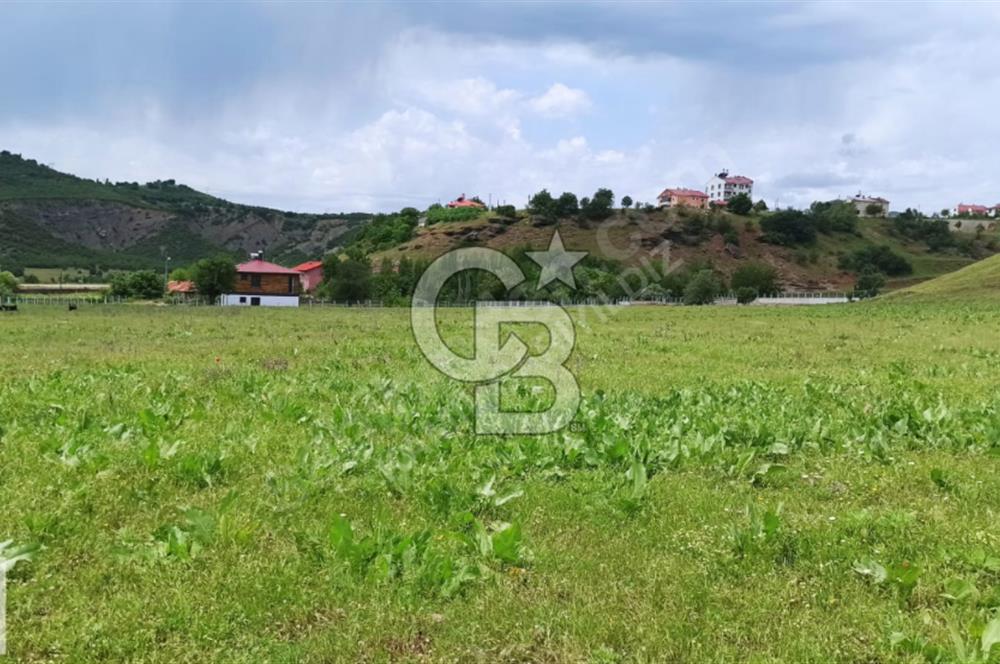 TUNCELİ DE ARSA