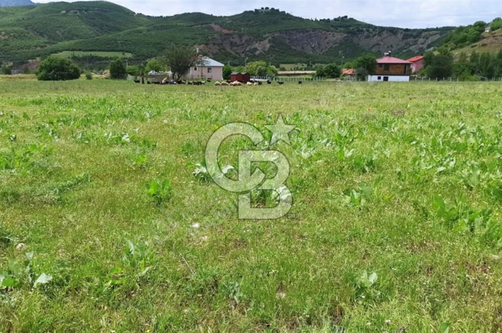 TUNCELİ DE ARSA