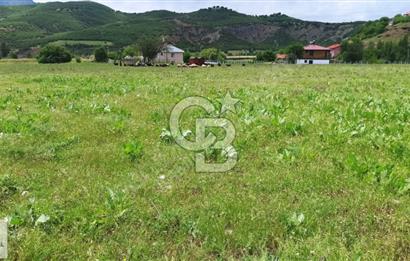 TUNCELİ DE ARSA