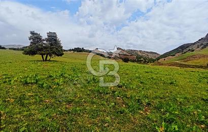 TUNCELİ MERKEZ İSMET İNÖNÜ MAHALLESİ CEM EVİN GEÇİNCE SOLDA ARSA