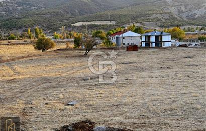 TUNCELİ MERKEZ YATIRIM YAPMANIN VE KAZANMANIN ZAMANI