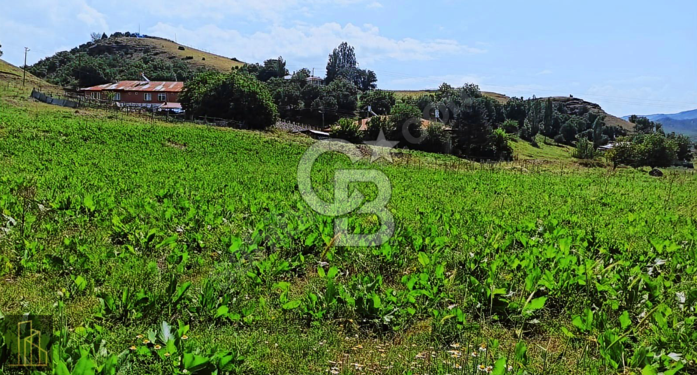 TUNCELİ MERKEZ YATIRIM YAPMANIN VE KAZANMANIN ZAMANI