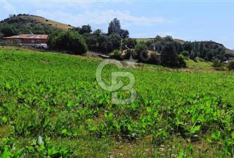 TUNCELİ MERKEZ YATIRIM YAPMANIN VE KAZANMANIN ZAMANI