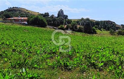 TUNCELİ MERKEZ YATIRIM YAPMANIN VE KAZANMANIN ZAMANI