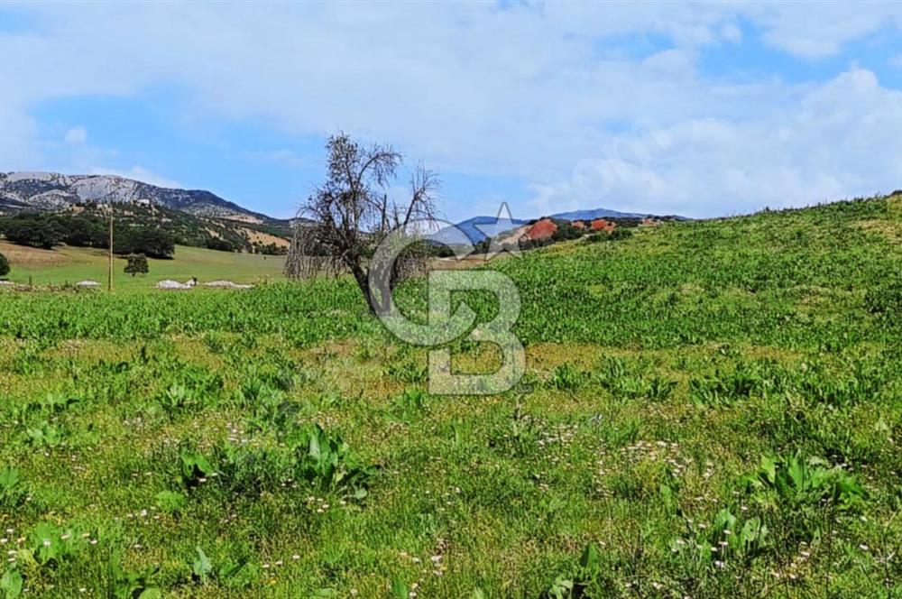 TUNCELİ MERKEZ YATIRIM YAPMANIN VE KAZANMANIN ZAMANI