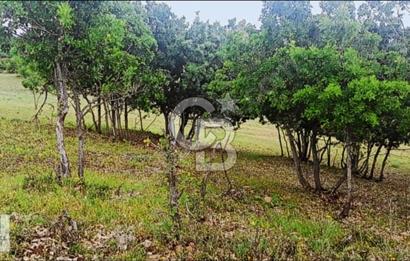 TUNCELİ DE ARSA FIRSATI