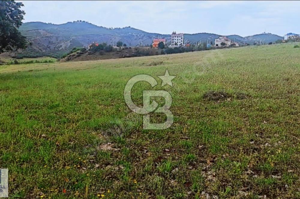 TUNCELİ DE ARSA FIRSATI