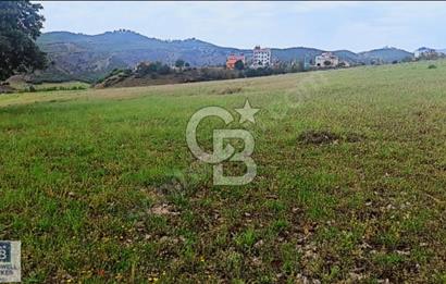 TUNCELİ DE ARSA FIRSATI