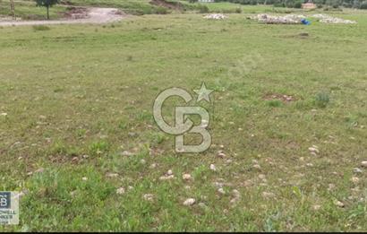 TUNCELİ DE ARSA İMKANI