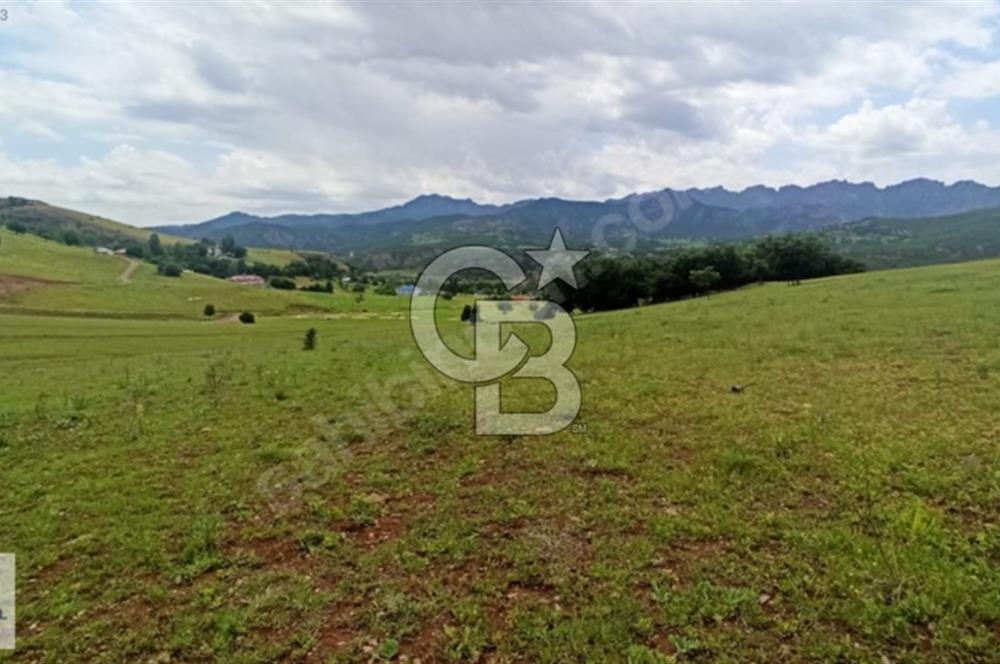 TUNCELİ DE ARSA İMKANI