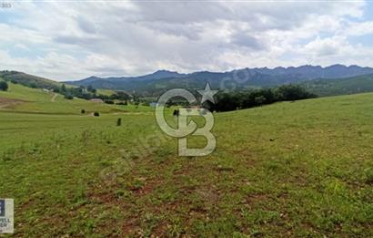 TUNCELİ DE ARSA İMKANI