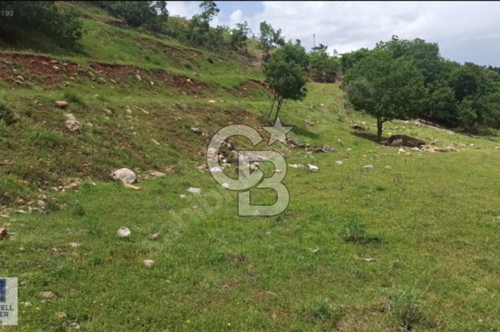 TUNCELİ DE VİLLA İMARLI ARSA
