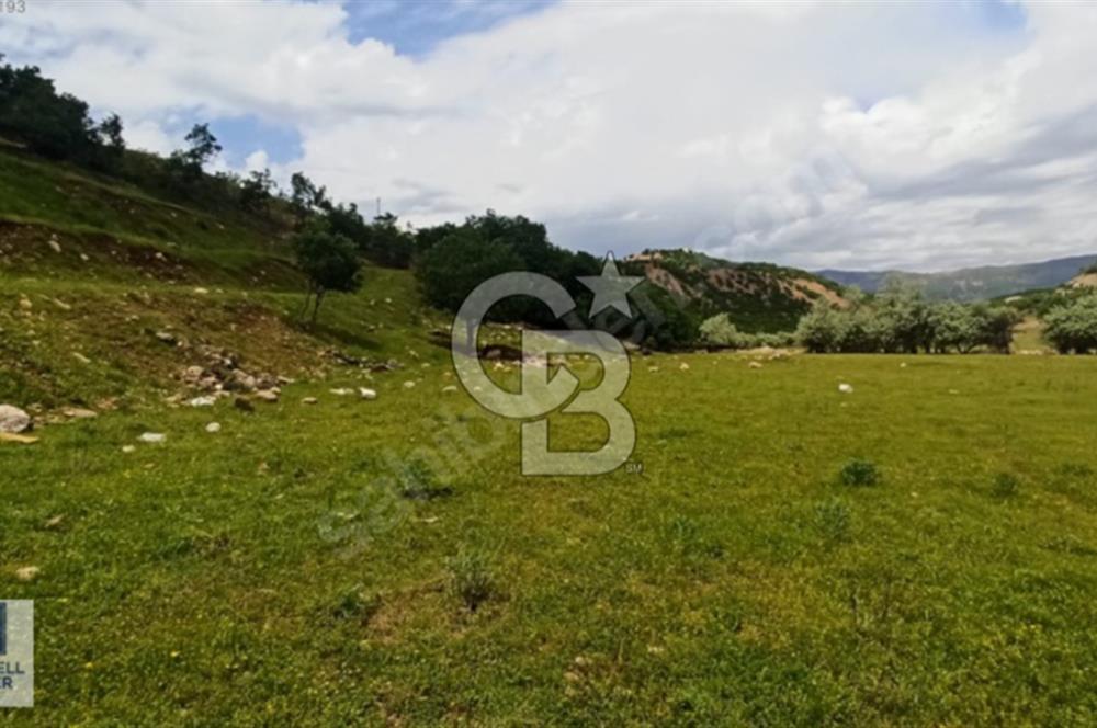TUNCELİ DE VİLLA İMARLI ARSA