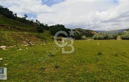 TUNCELİ DE VİLLA İMARLI ARSA