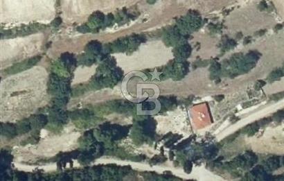 Balıkesir Altıeylül Karabeyler Köyü’nde Satılık Bahçe