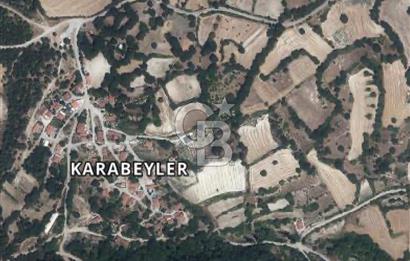Balıkesir Altıeylül Karabeyler Köyü’nde Satılık Bahçe